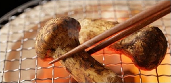 【相葉マナブ】焼き松茸！秋の信州で憧れ食材松茸を食べ尽くす。